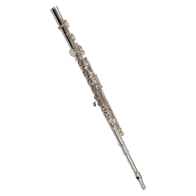 STUDENTS FLUTE