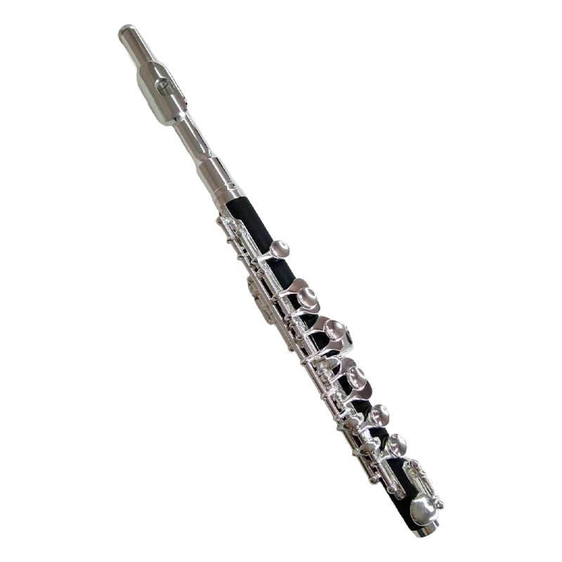 STUDENTS PICCOLO