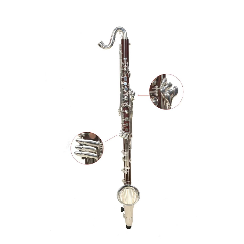 Cornet